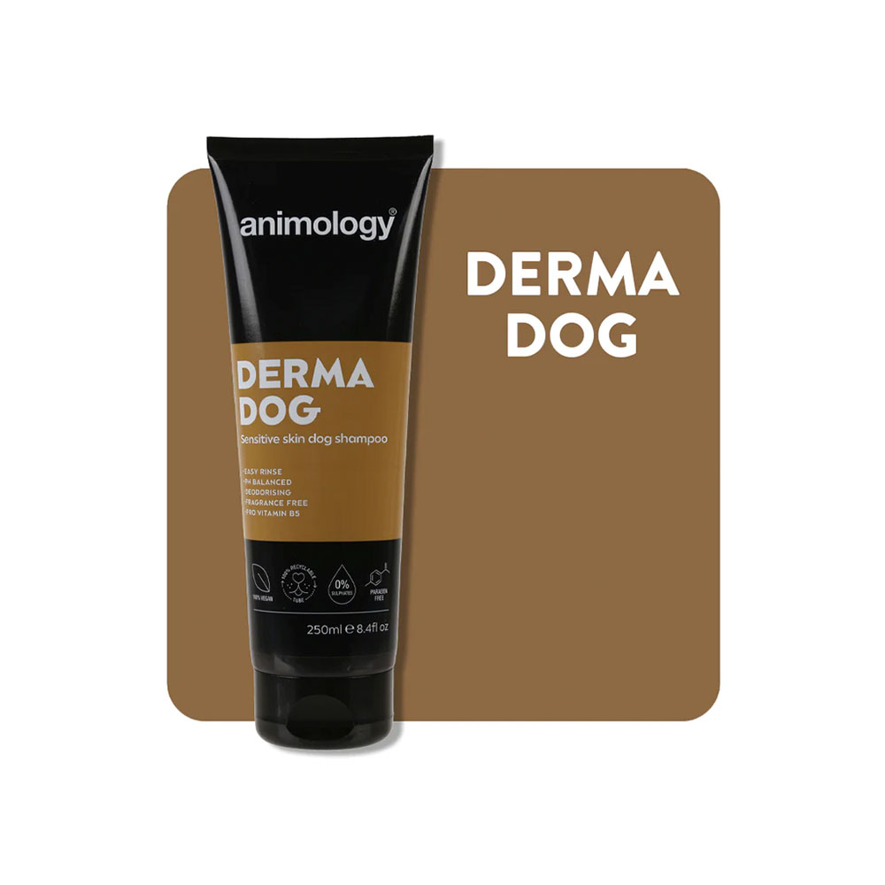 شامپو سگ آنیمولوژی مدل درما داگ حجم 250 میلی لیتر Derma Dog Sensitive Skin Dog Shampoo 250ml