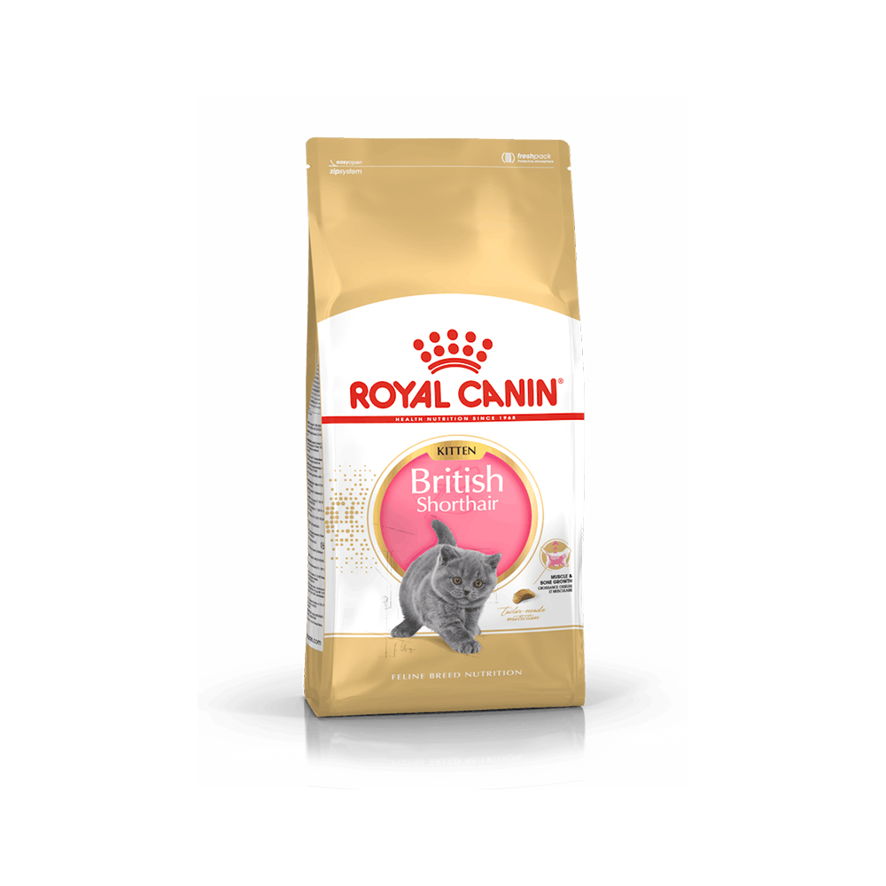 غذای خشک رویال کنین مدل Royal Canin British Shorthair Kitten