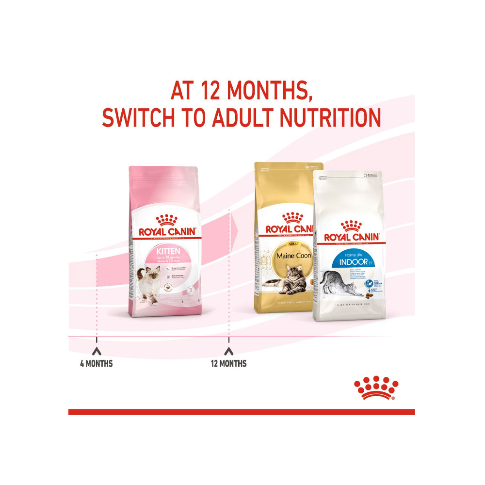 غذای خشک گربه رویال کنین مدل Kitten Dry Cat Food