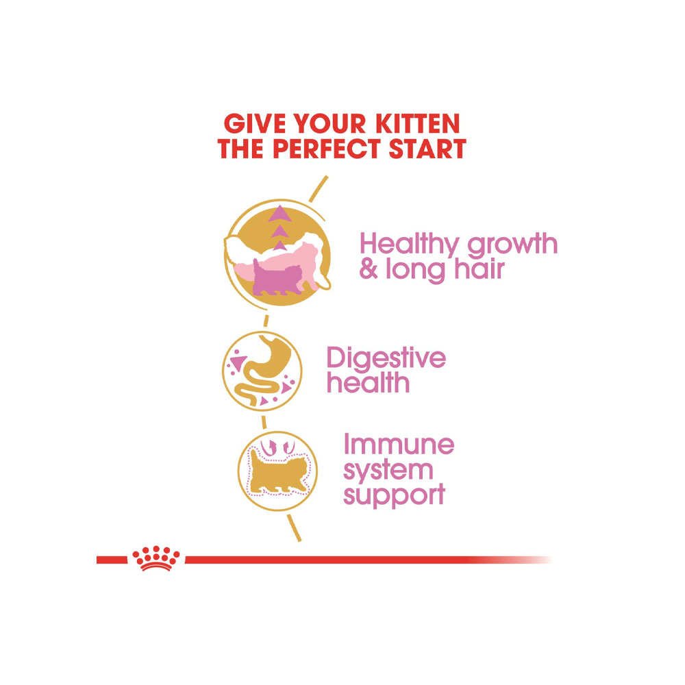 غذای خشک گربه رویال کنین مدل Persian Kitten Dry Cat Food