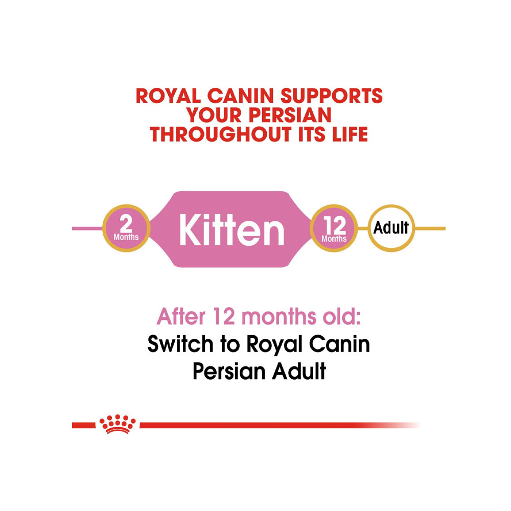 غذای خشک گربه رویال کنین مدل Persian Kitten Dry Cat Food