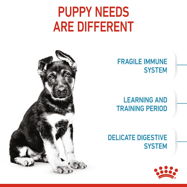 غذای خشک رویال کنین مدل Royal Canin Maxi Puppy