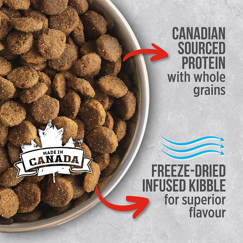 غذای خشک سگ بالغ نوترینس Nutrience Healthy Adult Beef